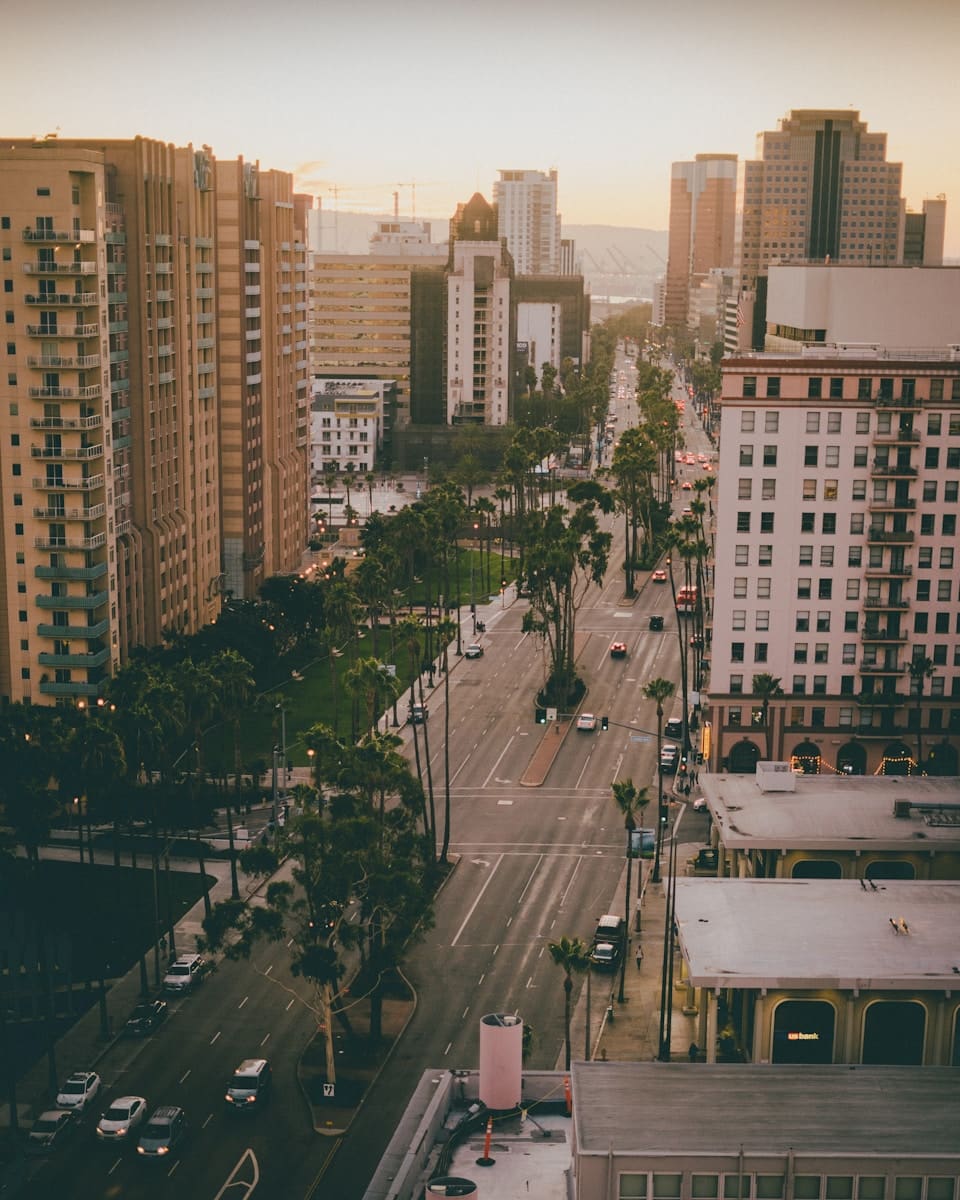 a city street with tall buildings and palm trees